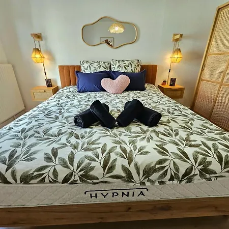 Апартаменты Forestier - T2 Cosy Avec Terrasse & 2 Parkings Privatifs -centre