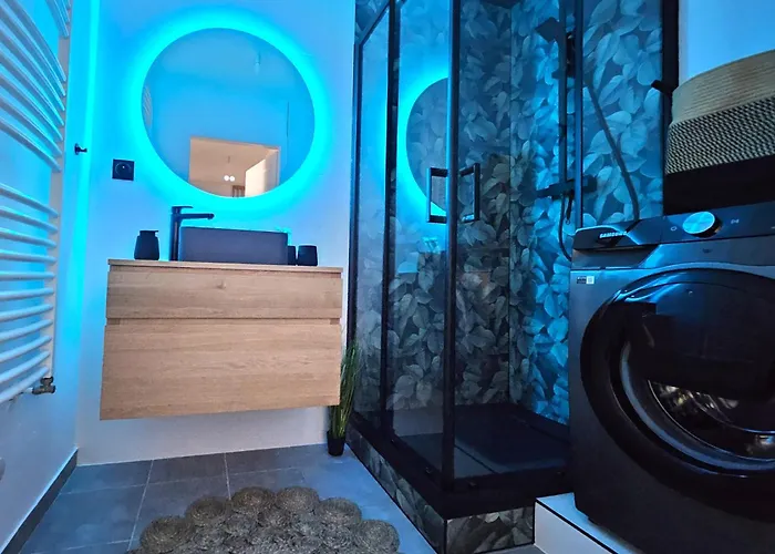 Forestier - T2 Cosy Avec Terrasse & 2 Parkings Privatifs -centre * Colmar